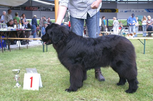 T:&nbsp;Noortje v.h. Wijkse Bos&nbsp;-&nbsp;21-09-2008