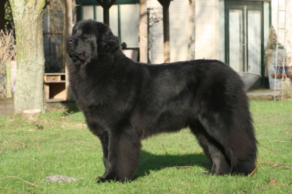 T:&nbsp;Onyesha vom Felsbachtal&nbsp;-&nbsp;09-04-2010