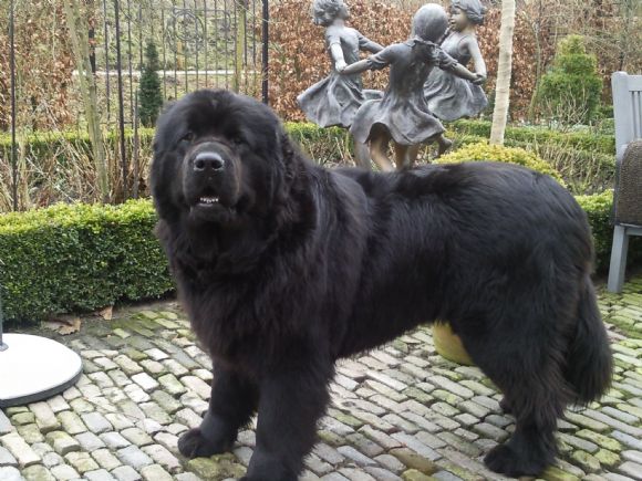 T:&nbsp;Fay v.'t Stolzhof&nbsp;-&nbsp;01-08-2009