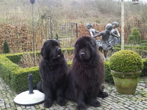 T:&nbsp;Fay v.'t Stolzhof&nbsp;-&nbsp;01-08-2009